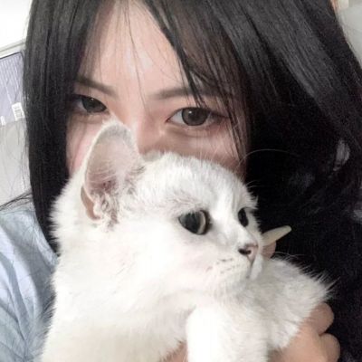 bob·体育综合app下载手机版