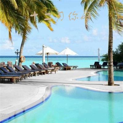 开云app手机版下载