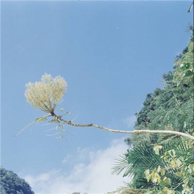 bat365官方网页版