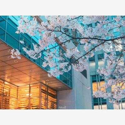 Kaiyun下载手机版