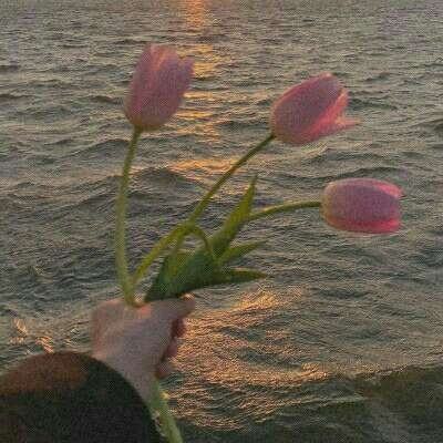 B体育·(sports)官方网站下载手机版截图