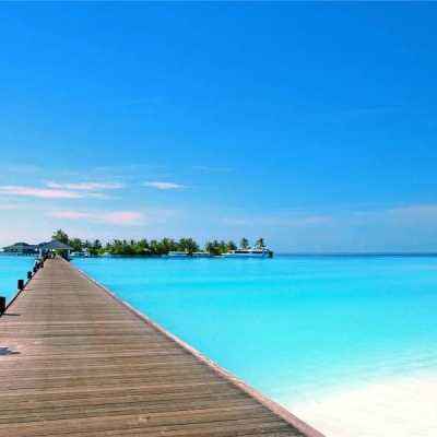 星空体育官方网站手机app下载