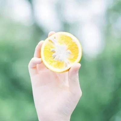 kaiyun平台app下载