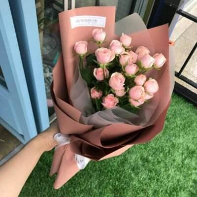 帝一娱乐下载手机版