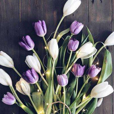 ag入口官网登录下载手机版